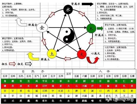 天機五行|天机星，化气为善，五行属乙木，广善之星，兄弟宫主，主智慧